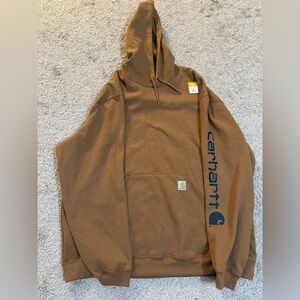 Carhartt Men’s Loose Fit Hoodie 2XL Gorpcore